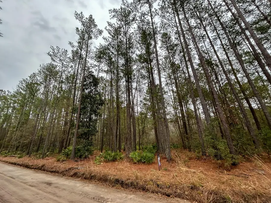 18 Caldwell Rd Ne, Ludowici, GA 31316 - Image #2