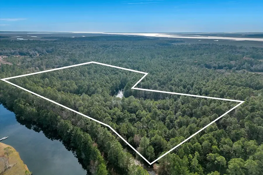 0 Steeple Chase Lane, Richmond Hill, GA 31324 - #3