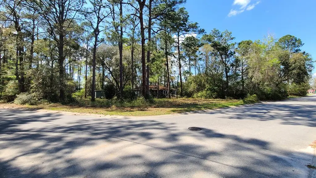 0 Wheeler Road, Walthourville, GA 31333 - Image #1