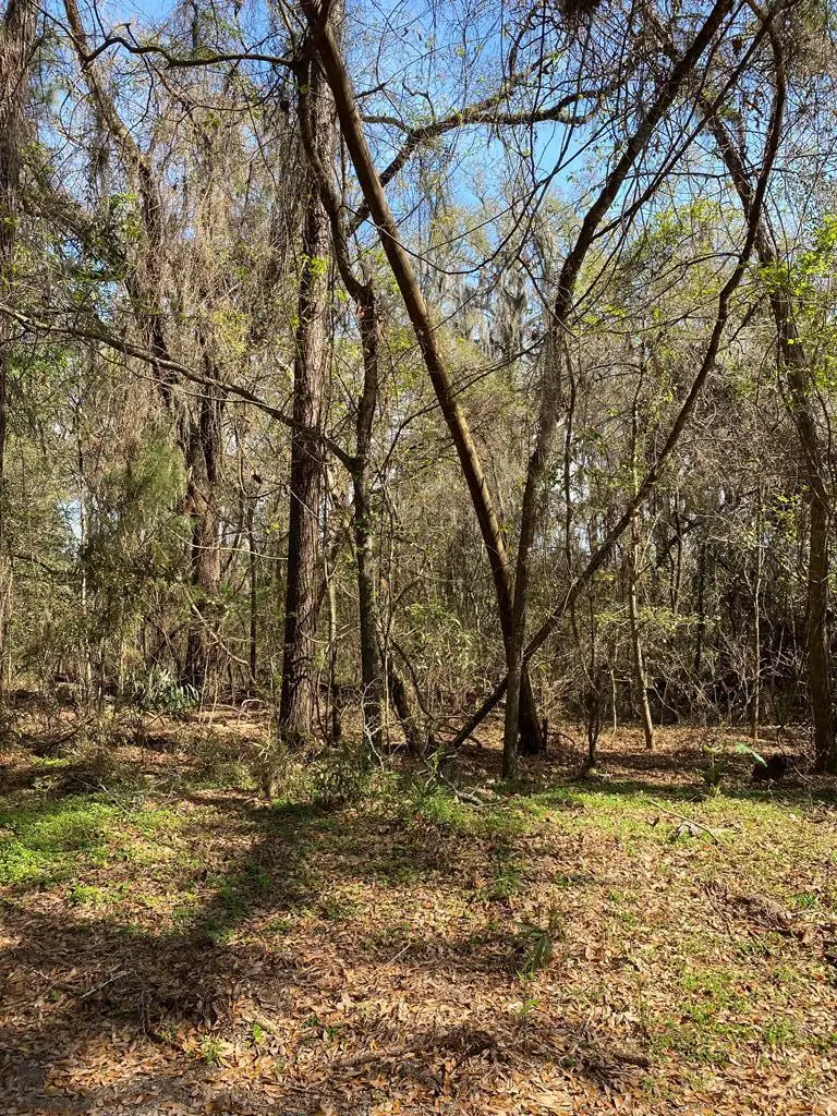 3 and M3 Big Oak Road, Riceboro, GA 31323 - #1