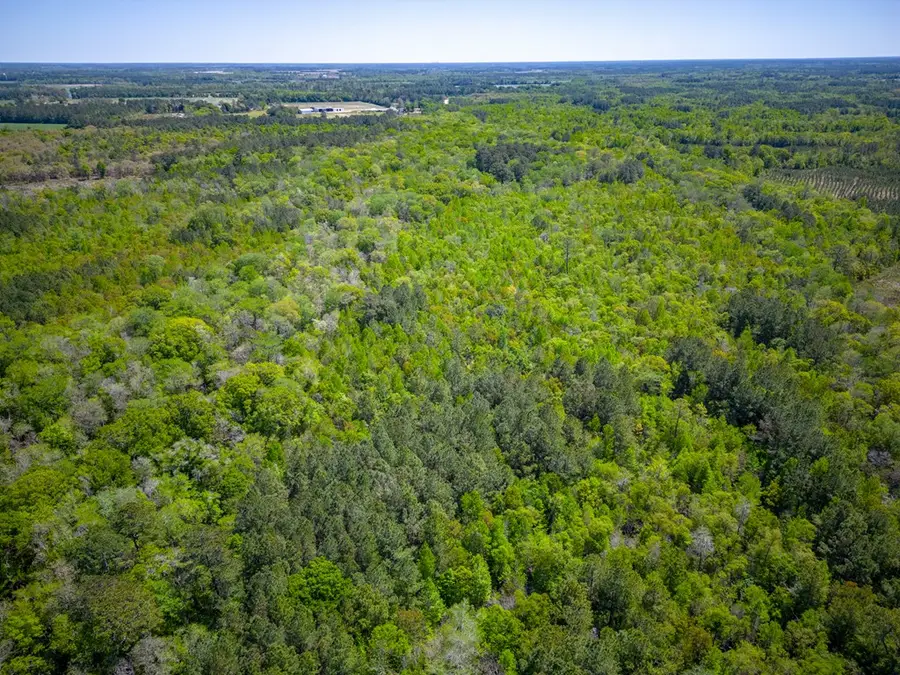 0 Ward Boyette Road, Bristol, GA 31518 - Image #2