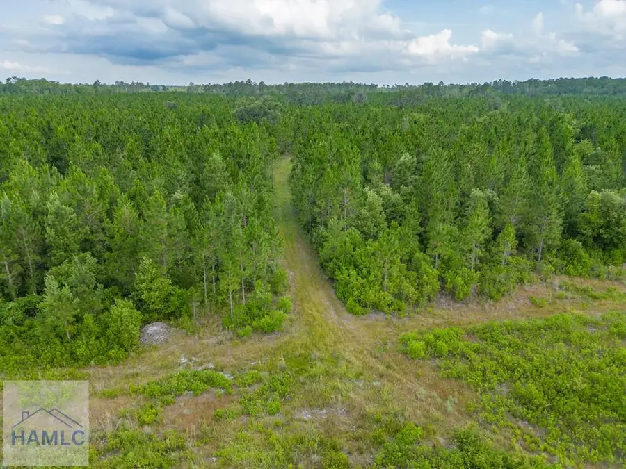 0 Old Post Road, White Oak, GA 31568 - Image #2