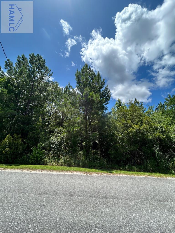 Lot 18 Main Trail, Midway, GA 31320