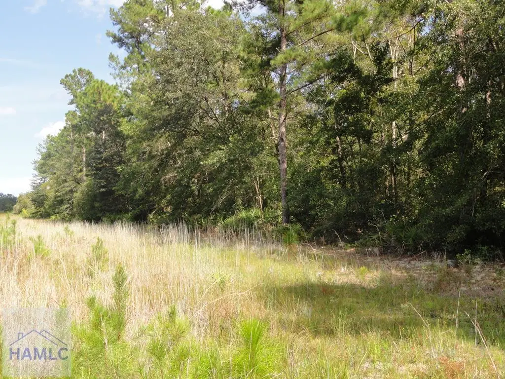 Parcel 7 Tibet Highway, Ludowici, GA 31316 - Image #1