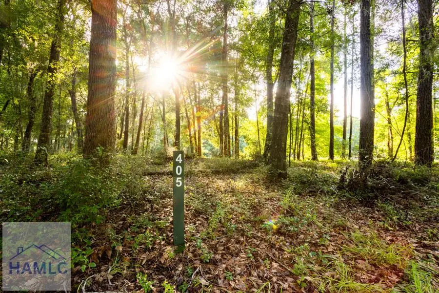 Lot 405 Blackberry Lane, Townsend, GA 31331 - Image #1