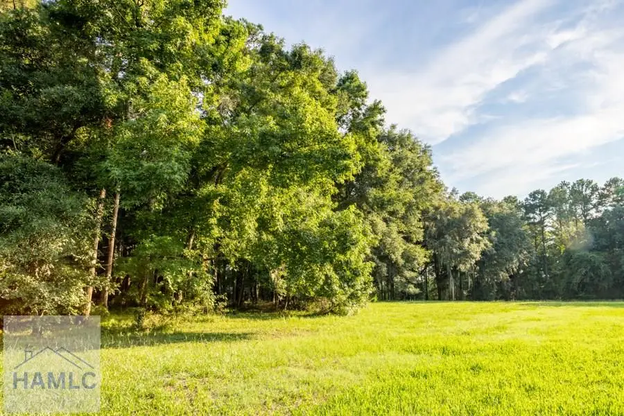 Lot 405 Blackberry Lane, Townsend, GA 31331 - Image #2