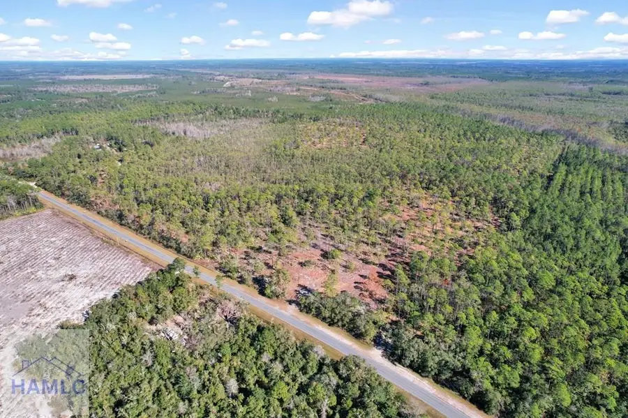 Tract 4 Hwy 259, Waynesville, GA 31566 - #2