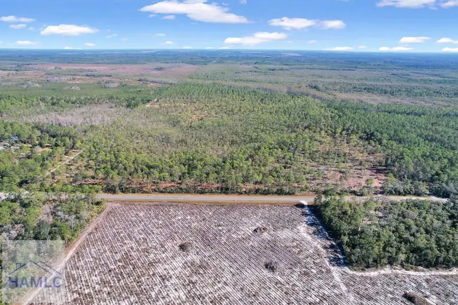 Tract 4 Hwy 259, Waynesville, GA 31566 - #3