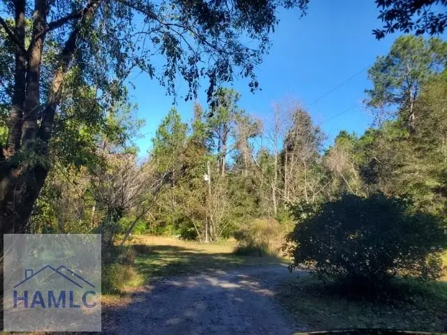 70 Pate Rogers Road, Fleming, GA 31309 - Image #2