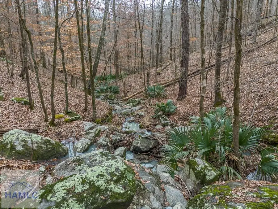 0 Dennis Creek Road, Talbotton, GA 31827 - Image #2