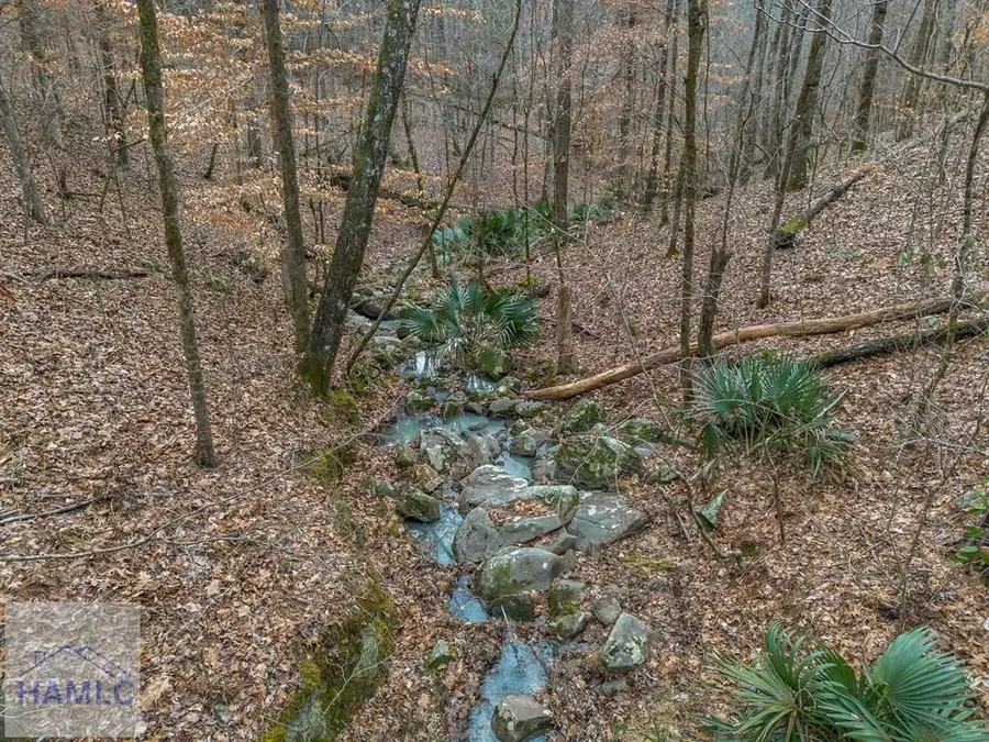 0 Dennis Creek Road, Talbotton, GA 31827 - Image #3