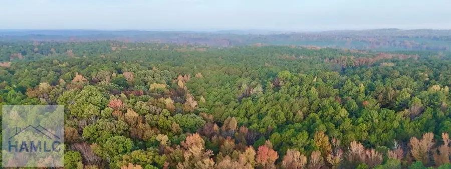 0 Dennis Creek Road, Talbotton, GA 31827 - Image #2