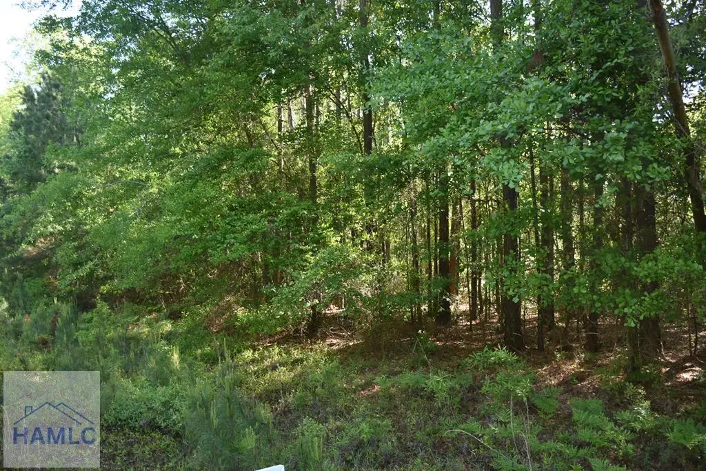 lot 41 Willow Oak Lane, Garfield, GA 30425 - Image #1