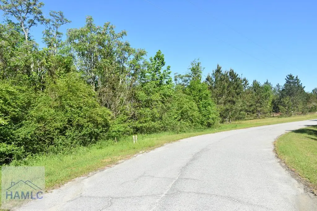 Lot 27 Chestnut Lane, Garfield, GA 30425 - Image #1