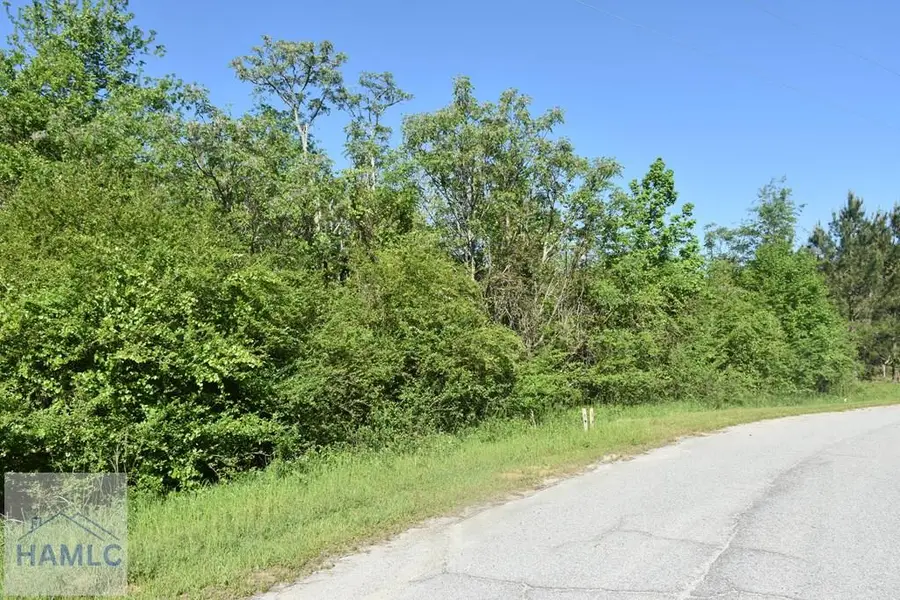 Lot 27 Chestnut Lane, Garfield, GA 30425 - Image #2