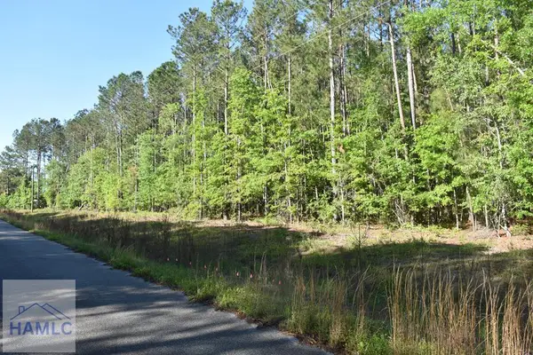 Lot 33 Scarlett Oak Lane, Garfield, GA 30425
