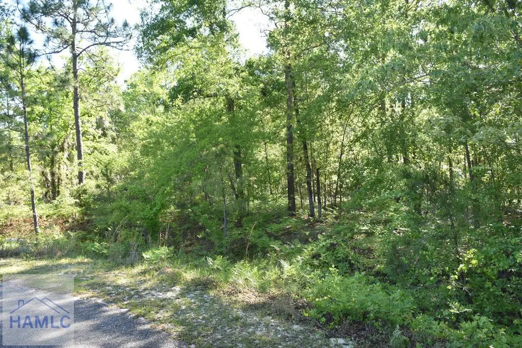 LOT 36 Scarlett Oak Lane, Garfield, GA 30425 - Image #1