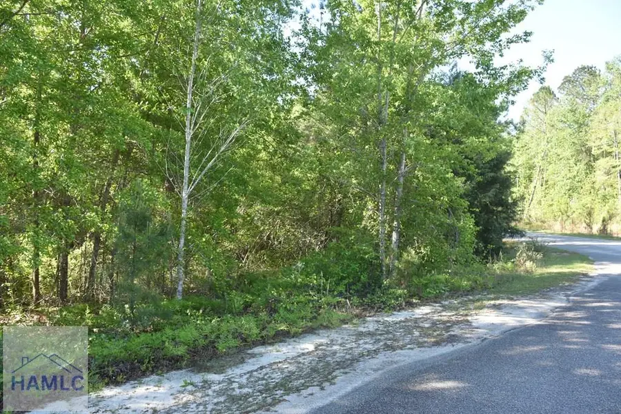 LOT 36 Scarlett Oak Lane, Garfield, GA 30425 - Image #3
