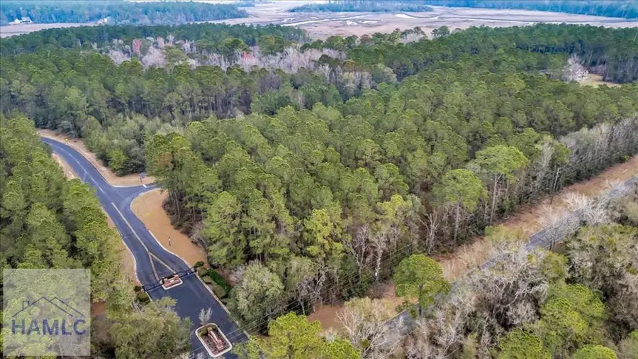 Lot 83 Fiddlers Cove, Townsend, GA 31331 - Image #3