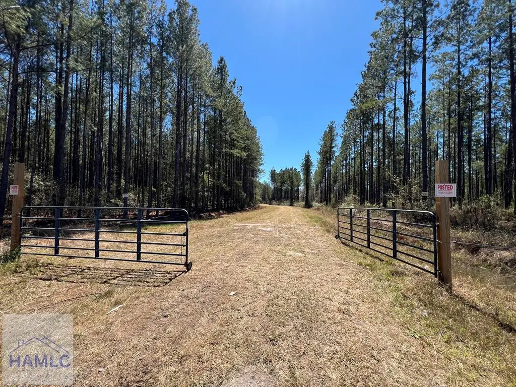 1 Rye Patch Road Ne, Ludowici, GA 31316 - Image #1