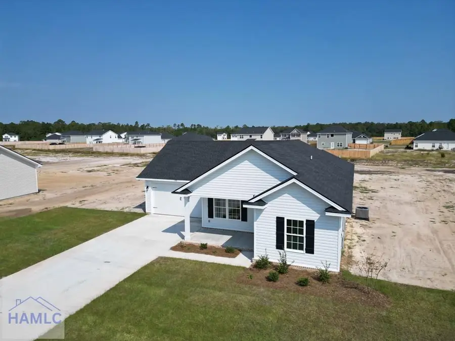 166 Freshwater Lane, Ludowici, GA 31316 - Image #3