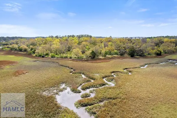 Lot 8 Bermuda Bluff Lane, Midway, GA 31320