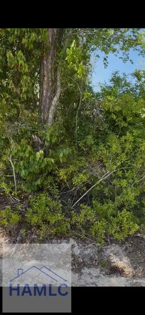 0N E. C. Knight Road, Jesup, GA 31546