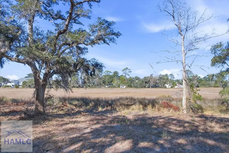 Lot 6 Bermuda Bluff Lane, Midway, GA 31320 - #2