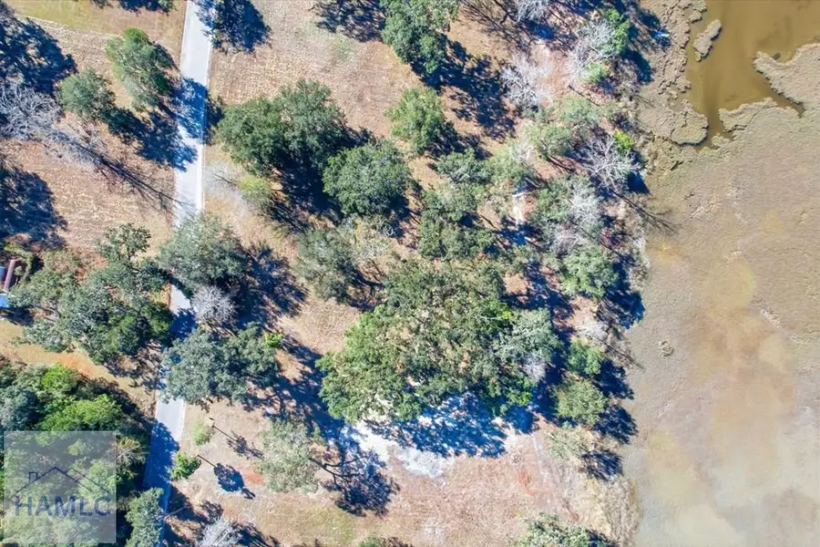 Lot 6 Bermuda Bluff Lane, Midway, GA 31320 - #3