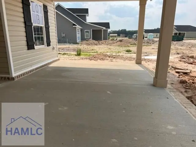 155 Freshwater Lane, Ludowici, GA 31316 - Image #3