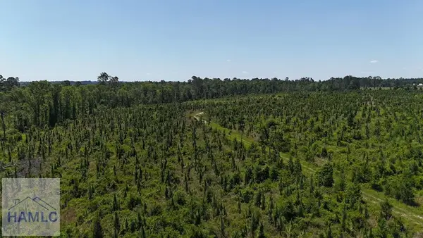 0 Deer Run, Vidalia, GA 30474