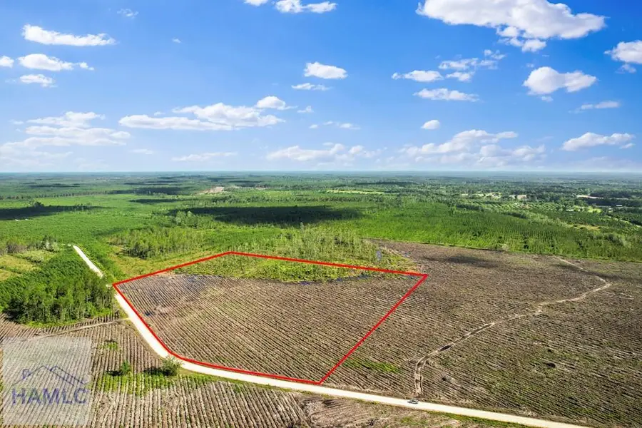 Tract 1 Morris Break Road, Odum, GA 31555 - Image #2