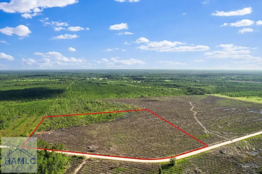 Tract 1 Morris Break Road, Odum, GA 31555 - Image #3