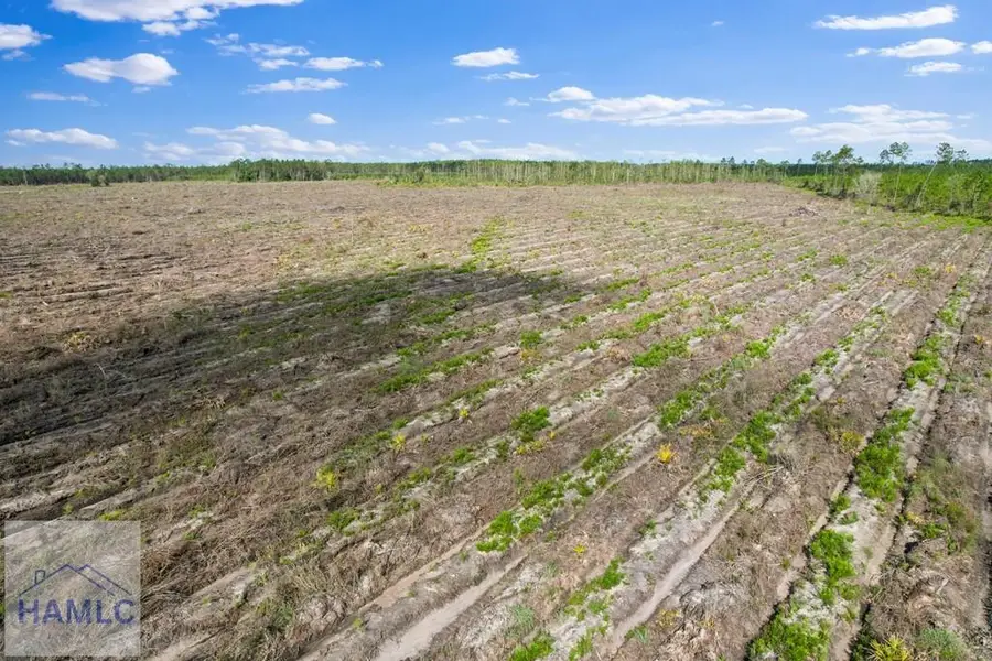 Tract 3 Morris Break Road, Odum, GA 31555 - Image #2