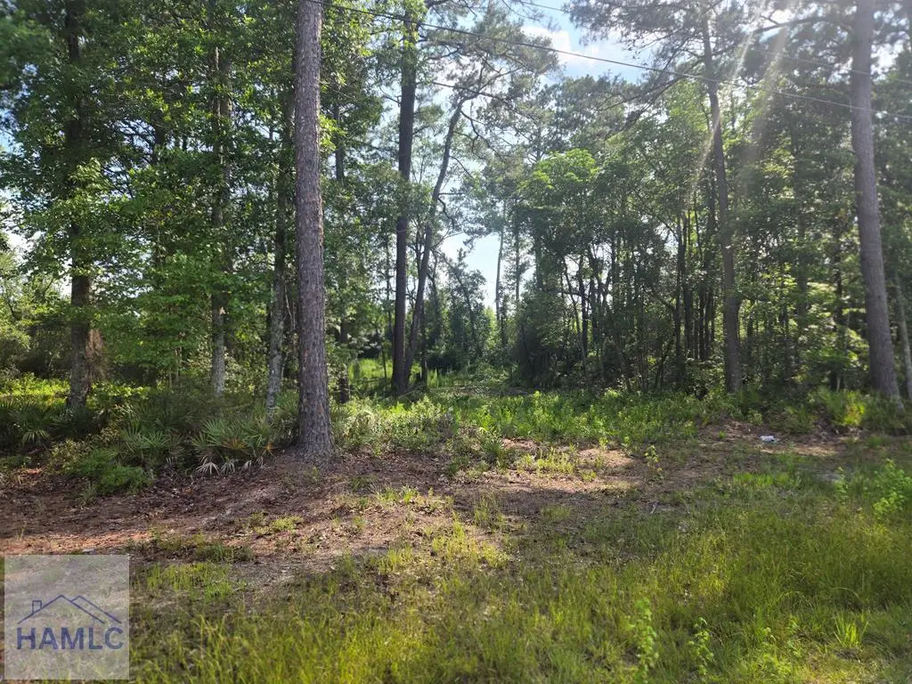 2.30 Highway 196 West, Hinesville, GA 31313 - #1