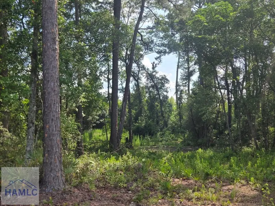 2.30 Highway 196 West, Hinesville, GA 31313 - #2