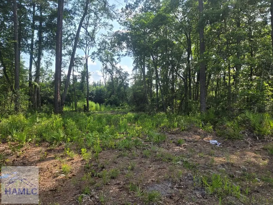 2.30 Highway 196 West, Hinesville, GA 31313 - #3