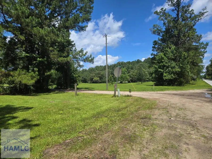 1 Acre Ga Hwy 251, Townsend, GA 31331 - #2