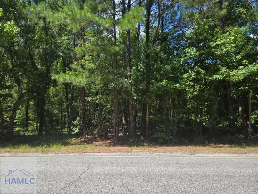 1 Acre Ga Hwy 251, Townsend, GA 31331 - #3
