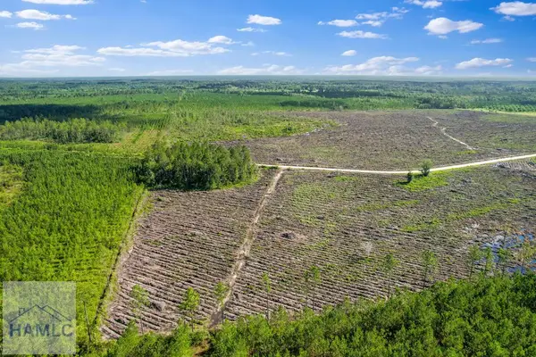 Tract 4 Morris Break Road, Odum, GA 31555