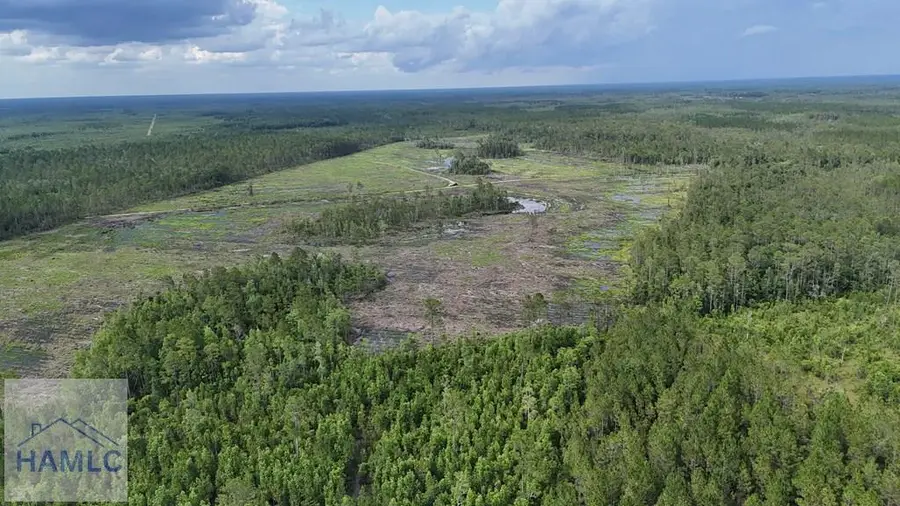 0 Off Dogwood Road, Waynesville, GA 31566 - Image #2