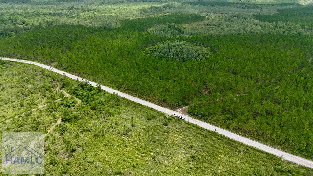 0 Firetower Road, Manor, GA 31550 - Image #1