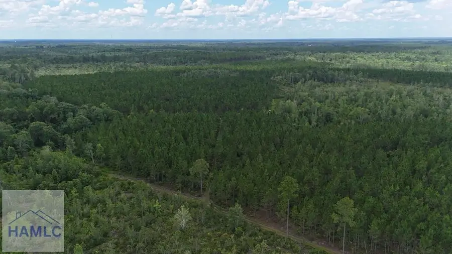 0 Firetower Road, Manor, GA 31550 - Image #3