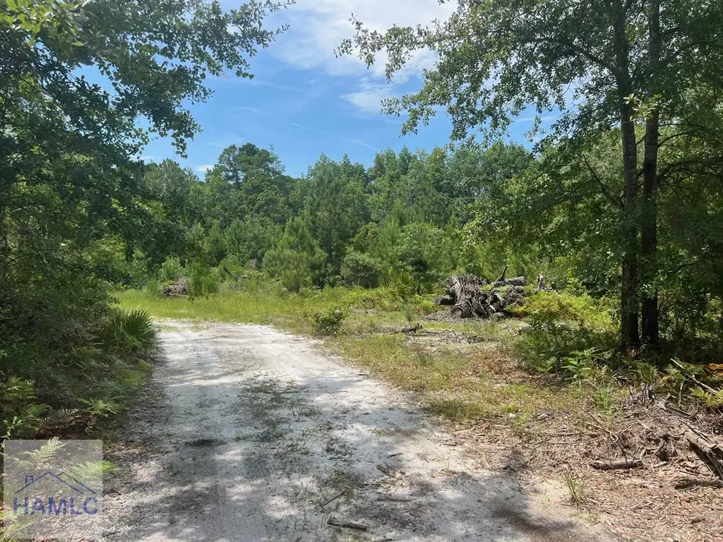 6.2 acre Tibet Highway Se, Ludowici South, GA 31319 - Image #1