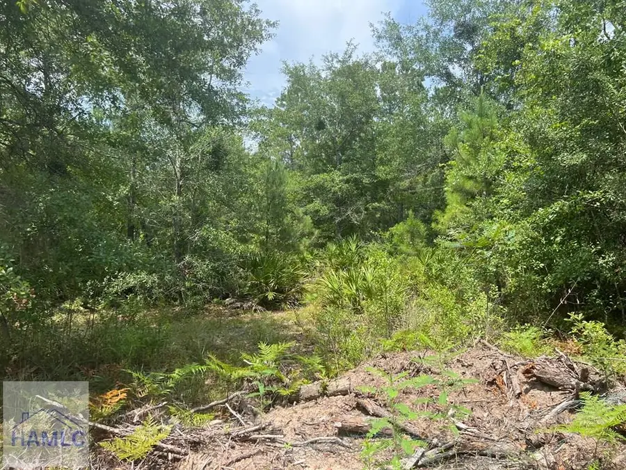 6.2 acre Tibet Highway Se, Ludowici South, GA 31319 - Image #2