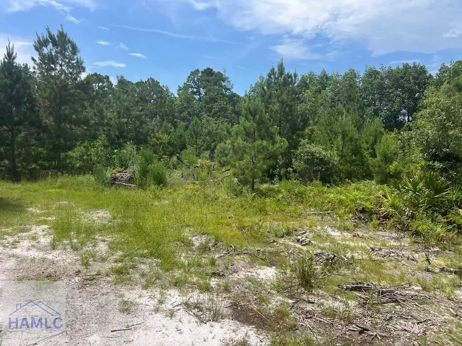 6.2 acre Tibet Highway Se, Ludowici South, GA 31319 - Image #3