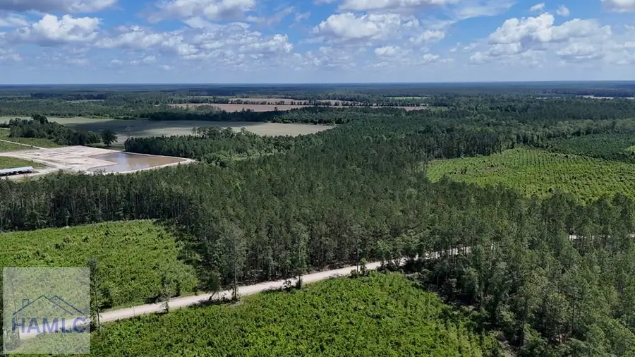 0 Bennett Mill Pond Road, Odum, GA 31555 - #2