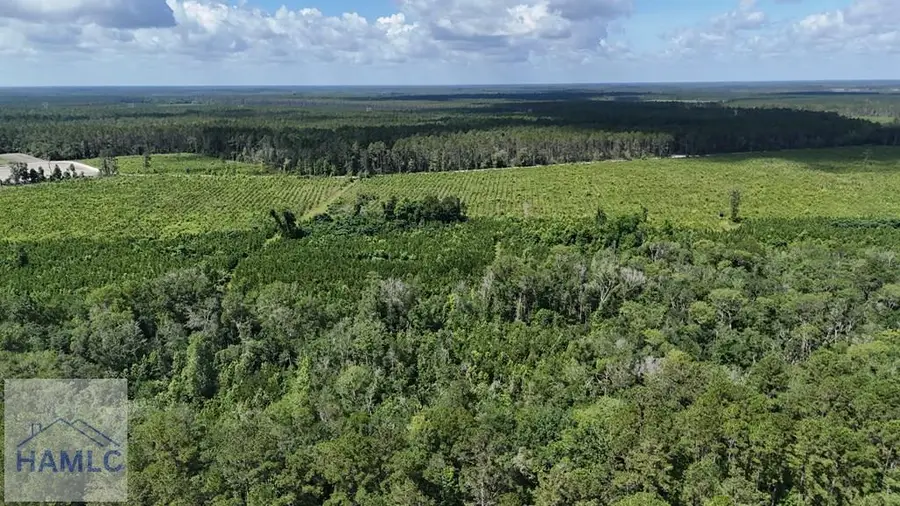 0 Bennett Mill Pond Road, Odum, GA 31555 - #3