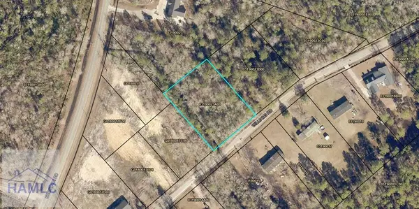 Tract 1 Williams Street, Guyton, GA 31312