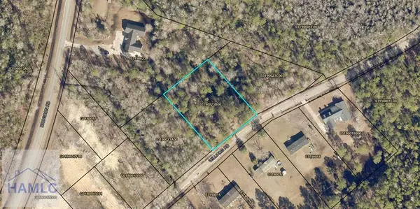 Tract 2 Williams Street, Guyton, GA 31312